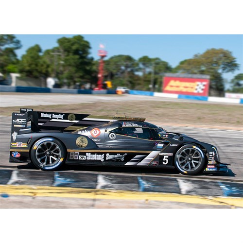 Spark Cadillac DPI-VR - 2022 Sebring 12 Hours - #5 1:43