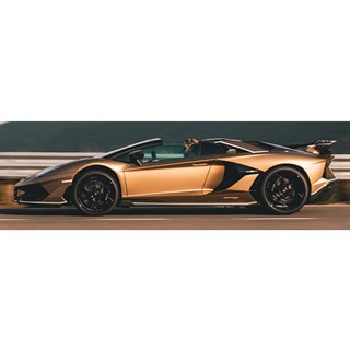 AUTOart Lamborghini Aventador SVJ Roadster - Bronze 1:18 model car