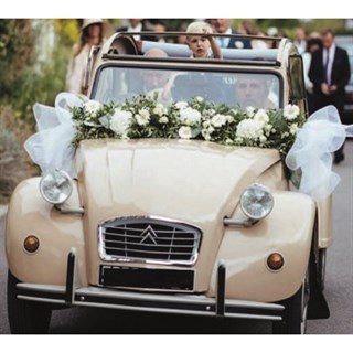 Norev Citroen 2CV Wedding Edtion 1986 - Beige 1:18 model car