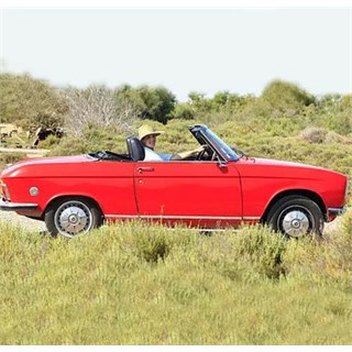 Norev Peugeot 304 Cabriolet 1972 - Red 1:18 model car