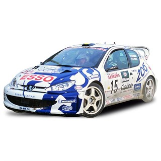 Sun Star Peugeot 206 WRC - 1999 San Remo Rally - #15 Gilles Panizzi 1:18 model car
