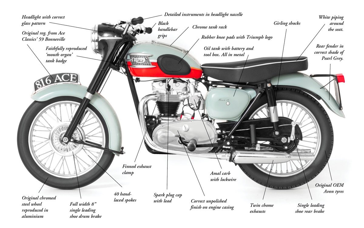 Triumph-2